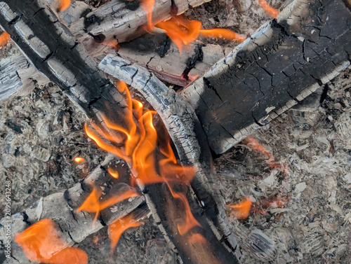Smoldering Embers presents a close-up study of glowing coals and curling flames. Charred wood and pale ash contrast with ribbons of orange, conveying both heat and quiet change. Warm bonfire mood.
