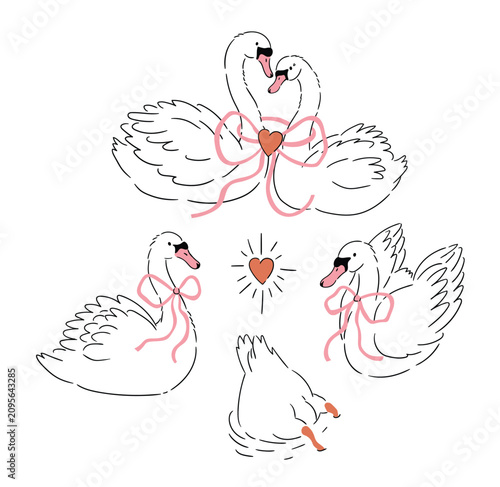 Foto Vector white swans with pink bows
