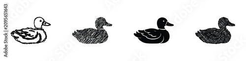 Photos A set of four distinct duck illustrations, ranging from a rough sketch to a soli