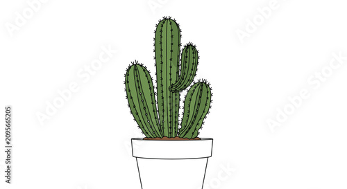 Potted green desert cactus with multiple arms sitting inside a simple white flowerpot on white background.