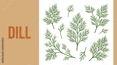 Fresh dill sprigs arranged on a surface for a culinary event