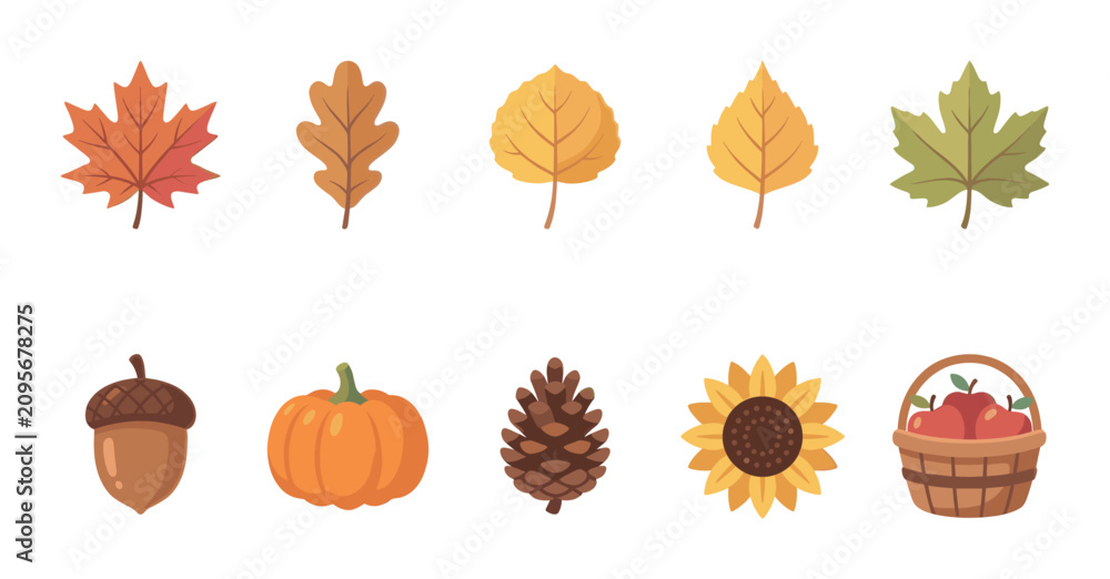 Fototapeta premium Various colorful autumn leaves, a pumpkin, acorn, pinecone, sunflower, and apple basket are arranged on a clean white background