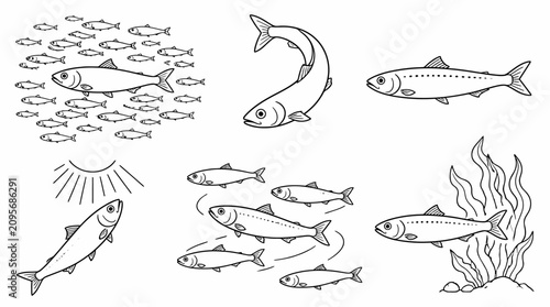 Herring Fish Collection, Hand-Drawn Underwater Marine Life Set