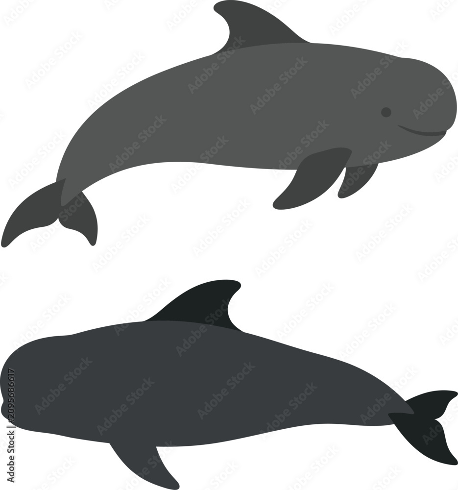Fototapeta premium Two gray dolphin illustrations on a white background marine animal vector graphics