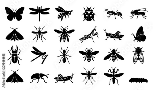 Fotografía Insect Silhouette Icon Set with Butterflies Bees Beetles and Flying Bugs Vector