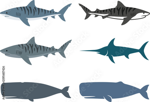 Variety of sharks and whales vector illustrations on a white background