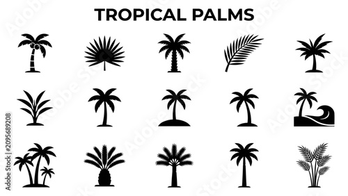 Tropical Palm Trees Icons Set with Coconut Palm Fan Palm Date Palm and Exotic Tree Collection