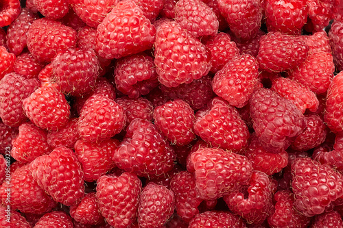 Fresh red raspberries piled together, showcasing their vibrant color and texture, ideal for culinary use, desserts, or healthy snacks in a natural setting