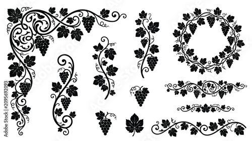 Black grapevine illustrations set