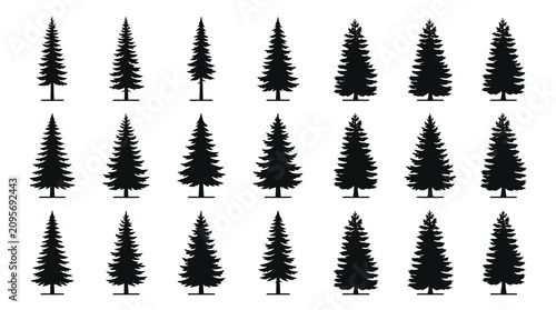 Black pine tree silhouettes on white