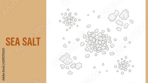 Illustration of various sea salt crystals scattered on a surface