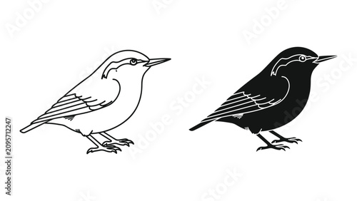 Cuadro en lienzo Set of two birds, outline and silhouette, vector illustration of a nuthatch, iso