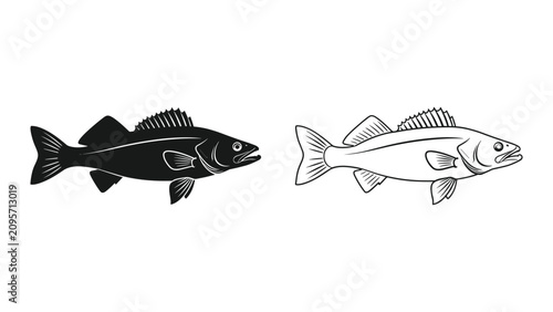 Cuadro en lienzo Set of zander fish icons, silhouette and outline illustration isolated on white