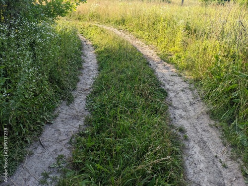 A dirt path winds through a natural tunnel of lush green trees and bushes in the countryside, perfect for summer and eco-friendly themes