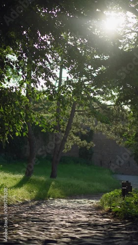 Vertical video of sunlight shining through tree leaves onto a historic cobblestone street as the camera moves downward, capturing a peaceful summer atmosphere and timeless European charm.