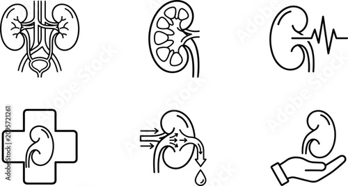 Human Kidney Anatomy and Nephrology Icon Set Featuring Urinary System Medical Symbols, Cross Hospital Signs, Care Hands, and Filtration Process Diagrams