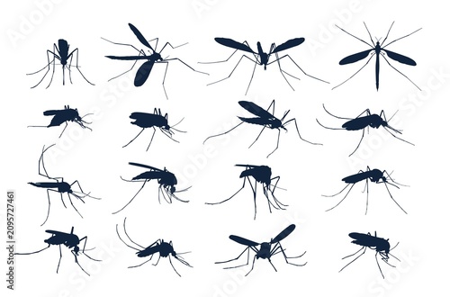 A big set silhouettes of mosquitoes.