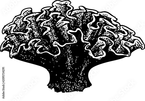 human head silhouette with earth
