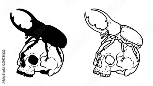 Bild auf Leinwand Stag Beetle and Skull: A stark black silhouette and a detailed line drawing of a stag beetle perched atop a human skull, symbolizing power and mortality