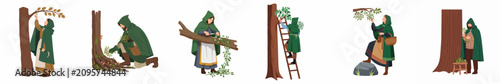 Photos Collection of medieval herbalists and druids in green hooded cloaks harvesting mistletoe and plants in the forest, flat vector illustration