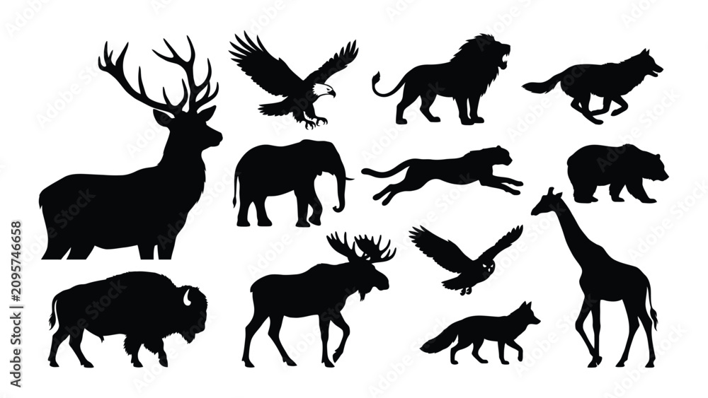 Fototapeta premium Black silhouettes of various wild animals