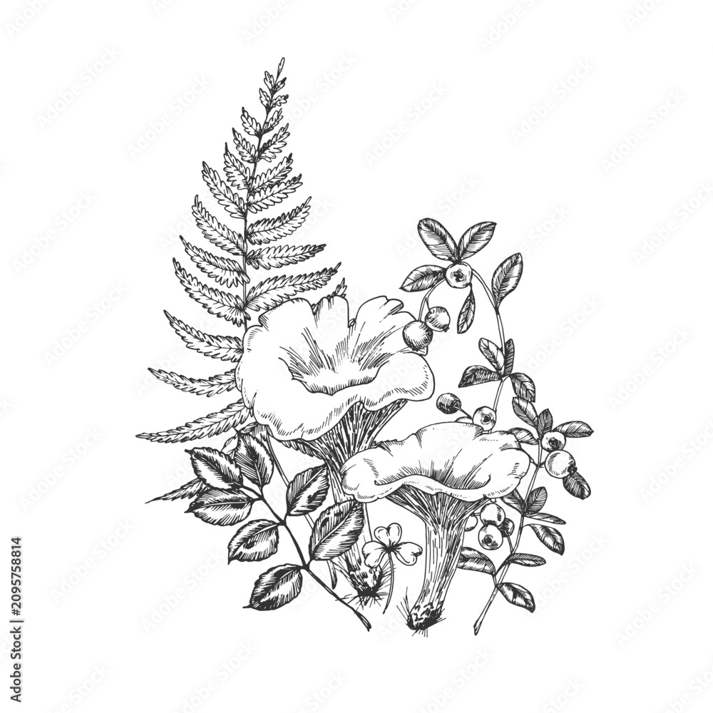 Fototapeta premium Botanical illustration static display, in no specific setting depicted, with flower, mushroom, leaves, berries, with paper texture, from a top-down perspective perspective, with black, white accents.