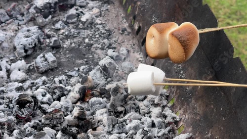 Golden brown and white marshmallows on sticks are roasted over hot embers in a metal fire pit, camping, summer food, outdoor cooking.