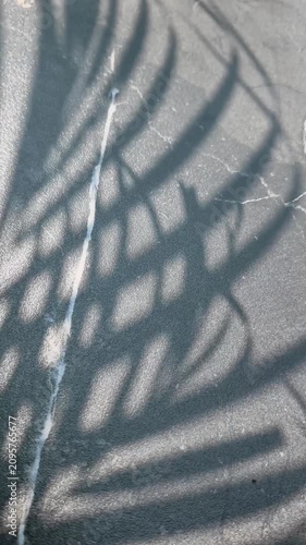 Soft shadow of tropical palm leaves moving gently on a gray textured concrete floor. Aesthetic minimalist background for beauty and branding mockup.