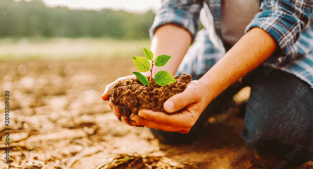 Fototapeta premium A farmer kneels on the ground, holding a small green plant. An agronomist plants a tree in fertile soil in a farm field. Concept of gardening and farming.