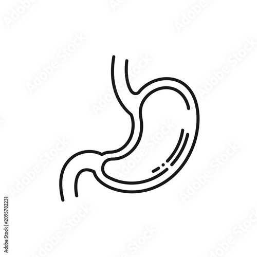 Human stomach organ line art icon on white background