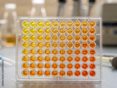 Multiwell microplate filled with yellow and orange liquid samples for chemical analysis in a laboratory