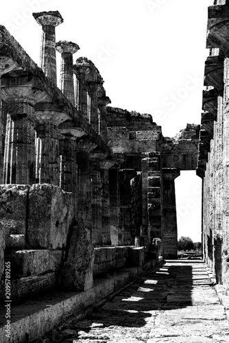 Colonne doriche in prospettiva con ombre marcate, sito archeologico di Paestum