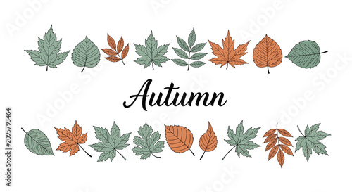Elegantly hand-drawn autumn leaves in rows surrounding the word Autumn in a stylish calligraphy script font.