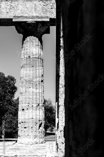 Dettaglio ravvicinato di una colonna dorica del tempio di Paestum in bianco e nero
