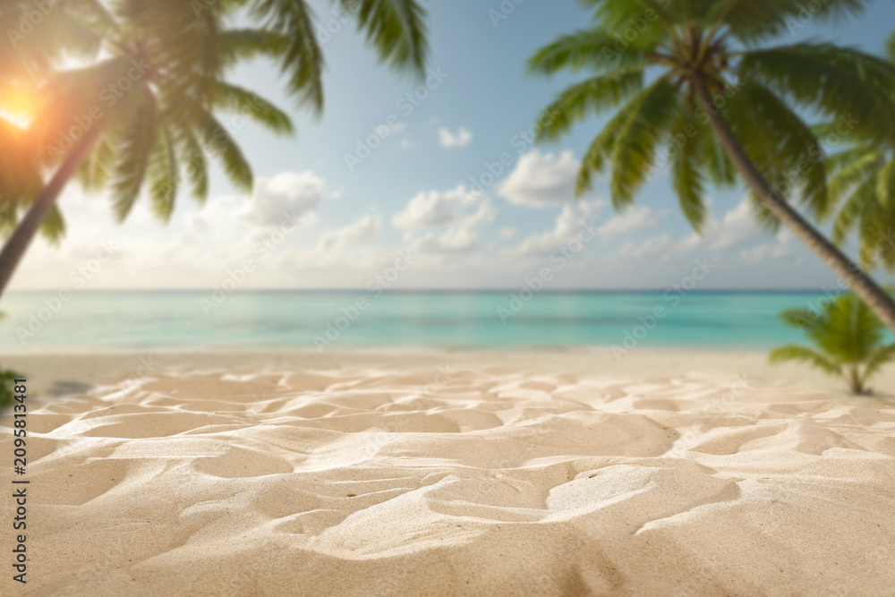 Fototapeta premium Sandy beach with palm tree and copy space – tropical summer product background