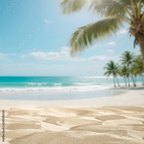 Sandy beach with palm tree and copy space – tropical summer product background