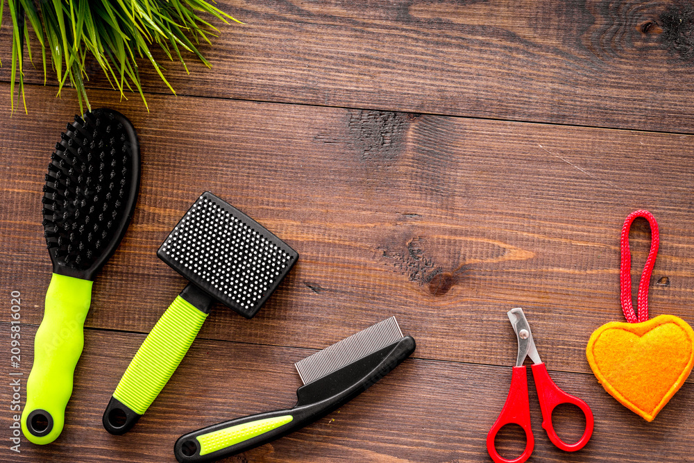 Obraz premium grooming tools for training pet and brushes on wooden background top view mock-up