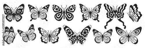 Set of hand drawn butterflies