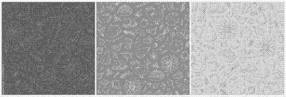 Fototapeta premium Set of three seamless patterns with diagonal grid texture in different shades of gray