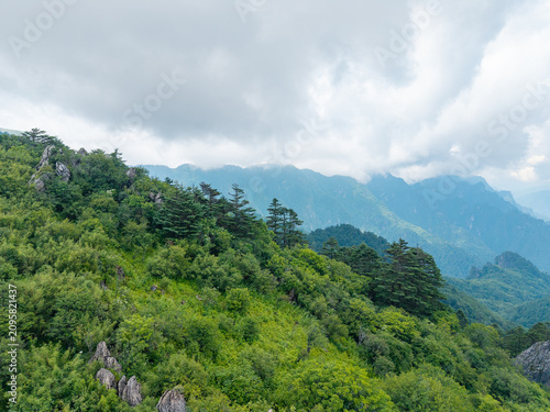 Photography Lush green mountains and forests in Shennongjia National Park China
