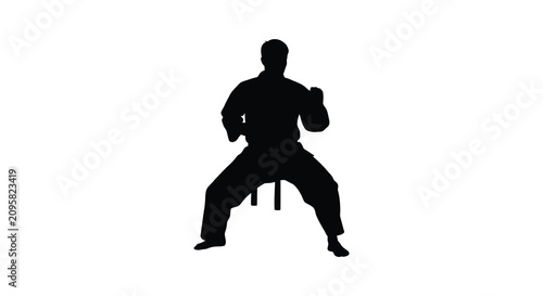 Martial artist silhouette against a white background dynamic pose