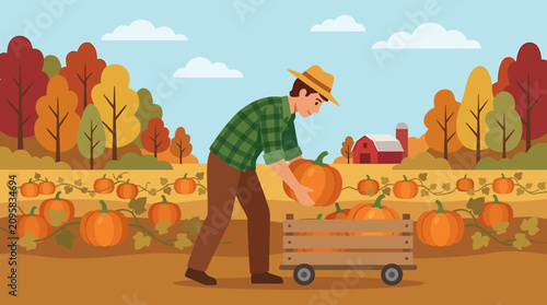 Farmer Harvesting Pumpkins in Autumn Field