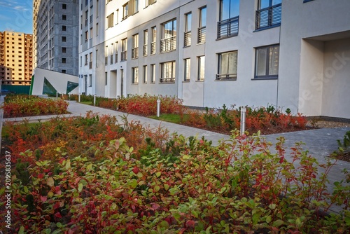 Fotografía Autumn colored shrubs along courtyard pathway near modern apartment buildings