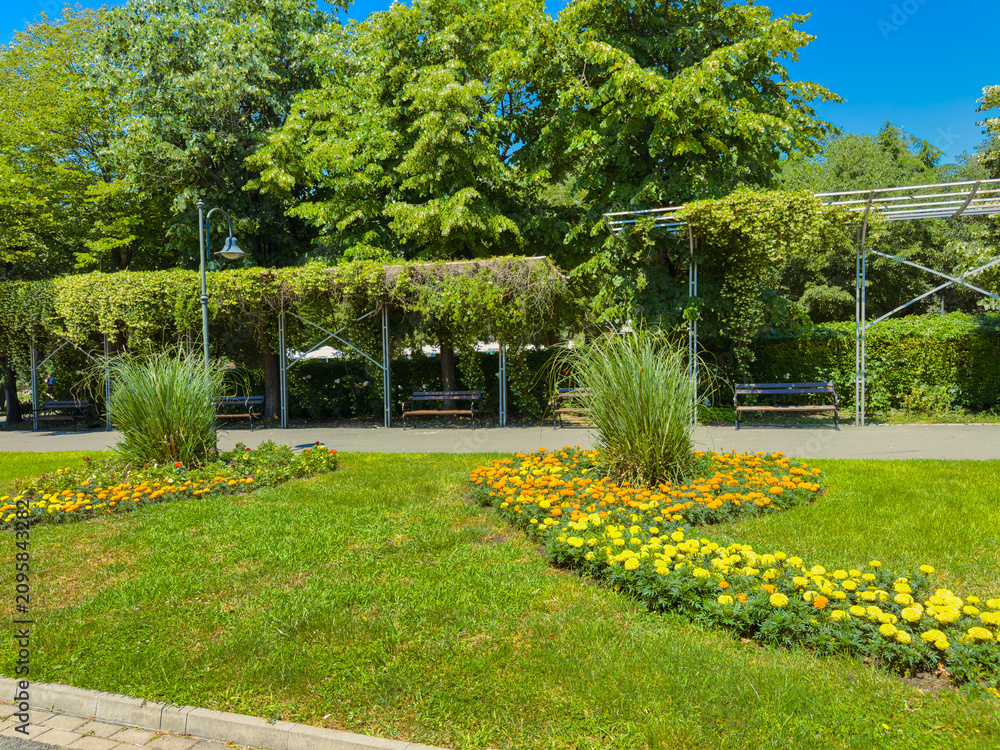 Obraz premium Flowers and grass in a public park setting with benches and trees on a sunny day