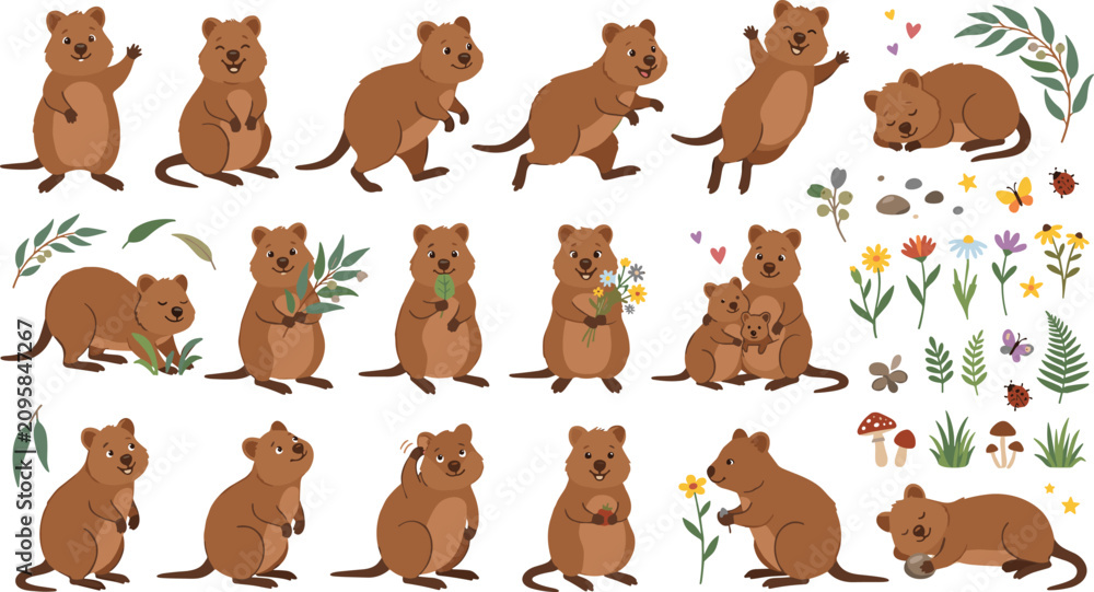 Fototapeta premium Cute Quokka Cartoon Character Vector Set with Australian Wildlife Elements, Flowers, and Leaves for Childrens Books, Stickers, and Friendly Animal Designs