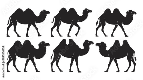 Canvastavla Collection of diverse camel silhouettes illustrating desert wildlife in various