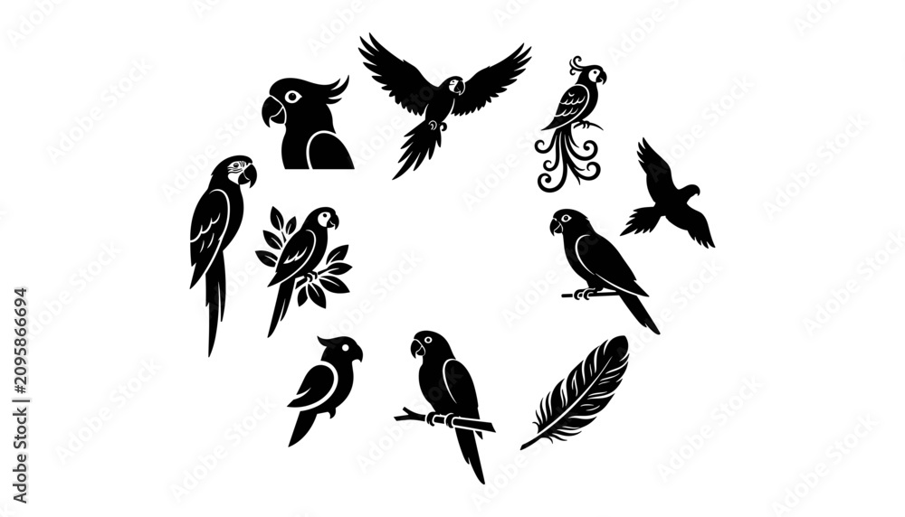 Fototapeta premium Parrots and Birds in Various Poses and Styles Arranged in a Circular Pattern Featuring Silhouettes, Black, Feathers with Wings