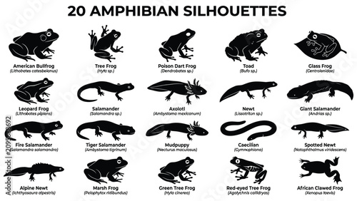 Fotografía Collection of various amphibian silhouettes on a transparent background