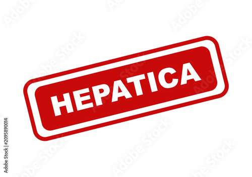 Red rectangular stamp with the word hepatica written in bold white capital letters isolated on a transparent background isolated on transparent background
