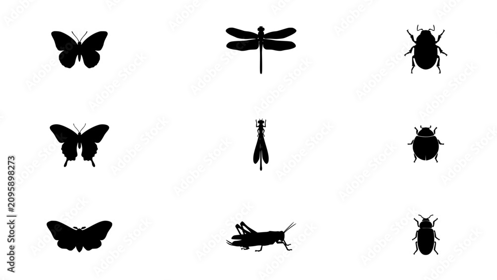 Fototapeta premium Insects Including Butterflies, Dragonflies, Beetles, and Grasshoppers in Black Silhouette Style Featuring Nature, Wildlife